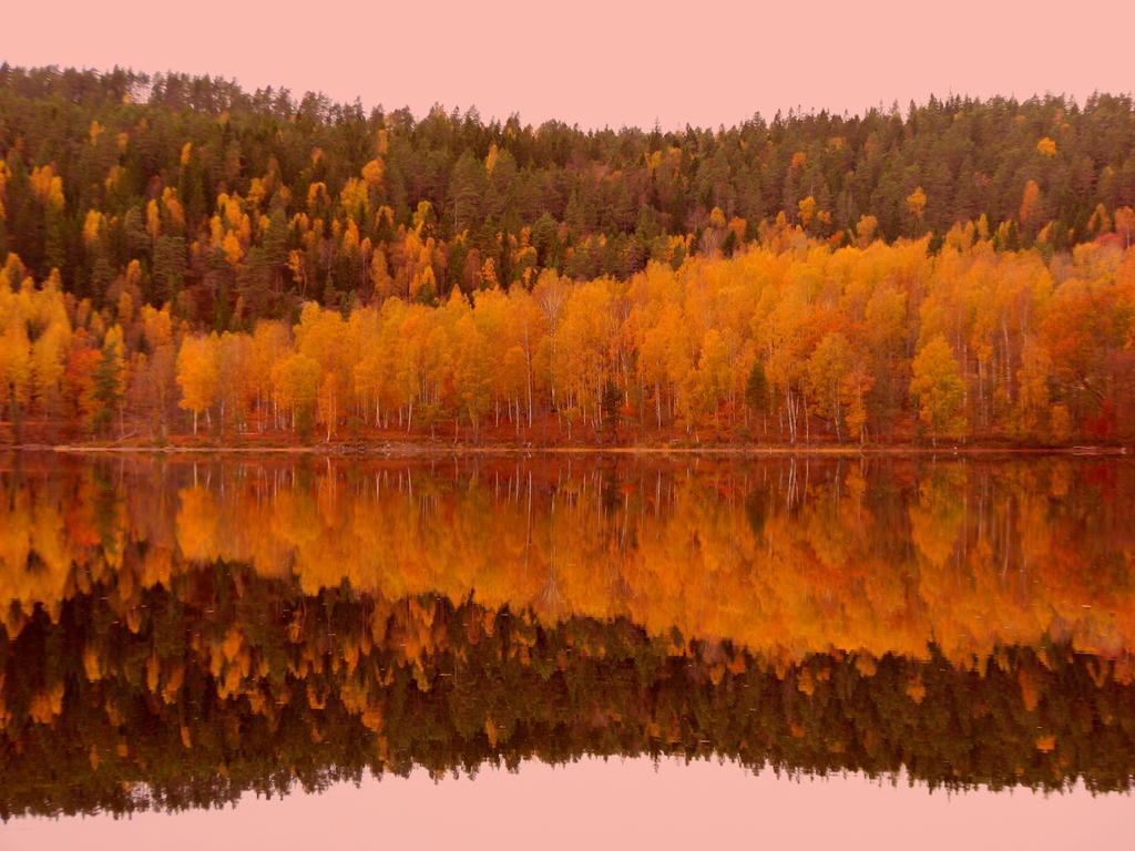 Hotel Edsleskogs Waerdshus Åmål Exteriér fotografie